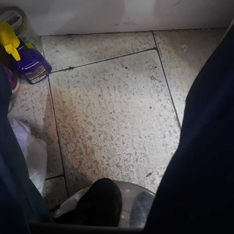  252 و 253 مانتوشلوار و گرمکن شلوار عشاق انجل:11E1   : :  10140001 - تصویر ۱